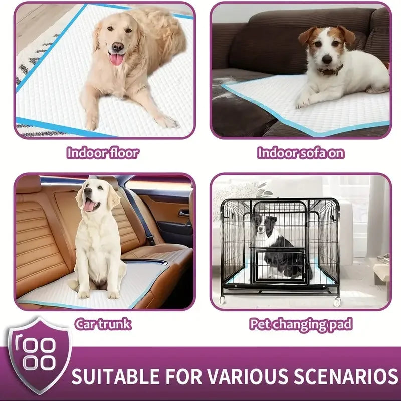 Premium Disposable Dog Training Pads Superior Absorption And Odor Control