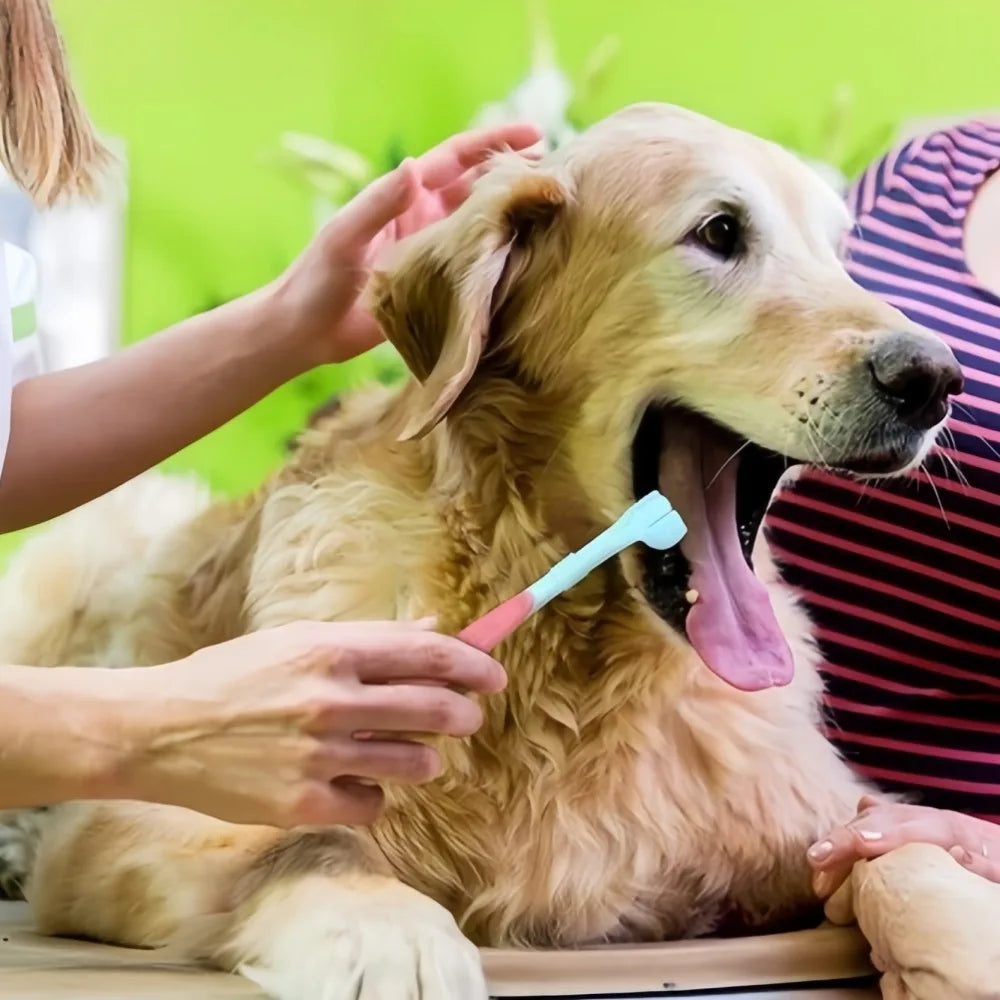 Three-Sided Plastic Pet Toothbrush For Dog And Cat Dental Care