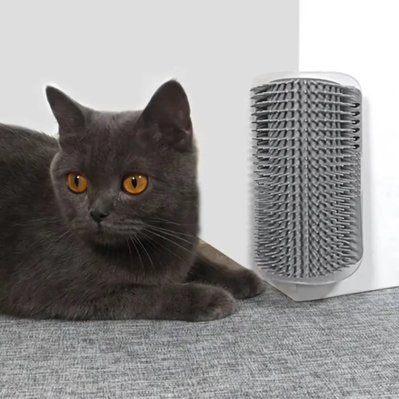 Cat Scratcher Massage Comb With Catnip Grooming Brush