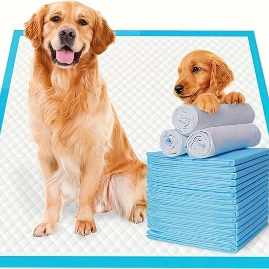 Premium Disposable Dog Training Pads Superior Absorption And Odor Control