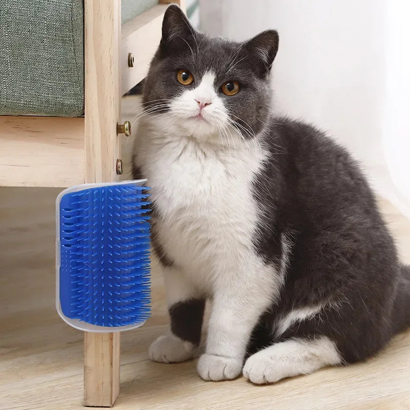 Cat Scratcher Massage Comb With Catnip Grooming Brush