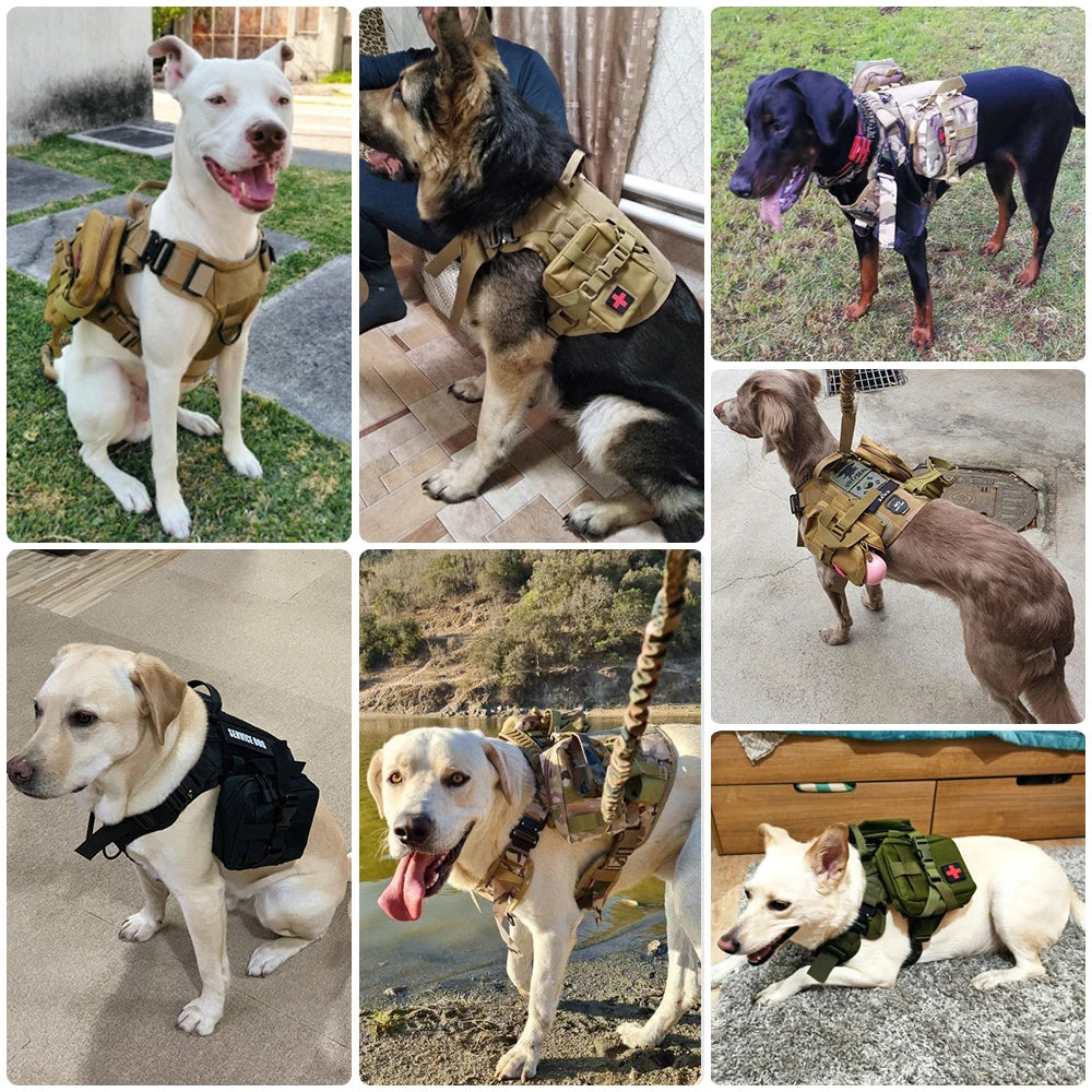 Tactical Dog Harness Leash Set With Handle No Pull Malinois
