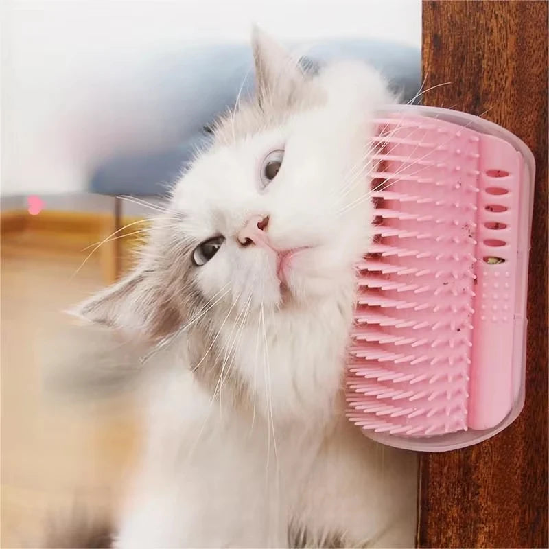 Cat Scratcher Massage Comb With Catnip Grooming Brush