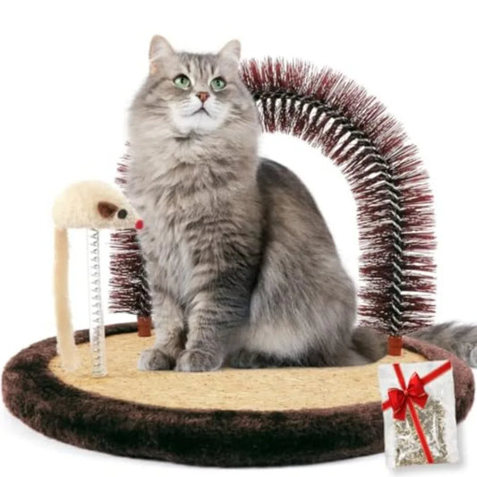Cat Self Grooming Arch Brush With Wooden Scratching Pad
